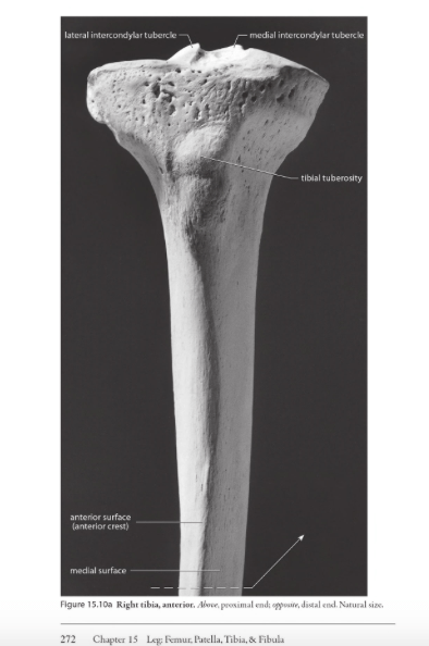 Screen Shot 2017-06-18 at 10.43.04 PM