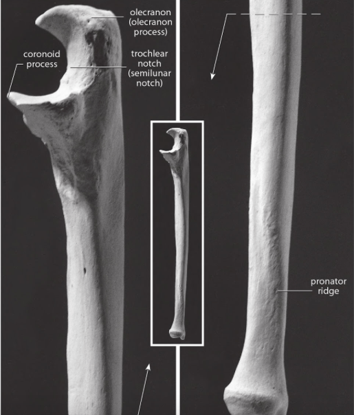 Screen Shot 2017-06-19 at 8.04.53 PM