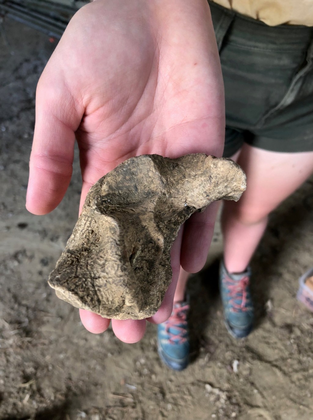 The Truth About&nbsp;Bones