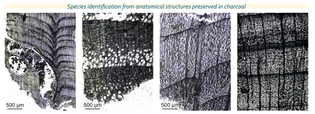 Screenshot 2018-06-26 at 9.35.46 PM